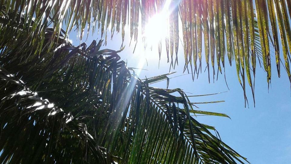 Hotel Vacation Beach Fales Manase Exterior foto