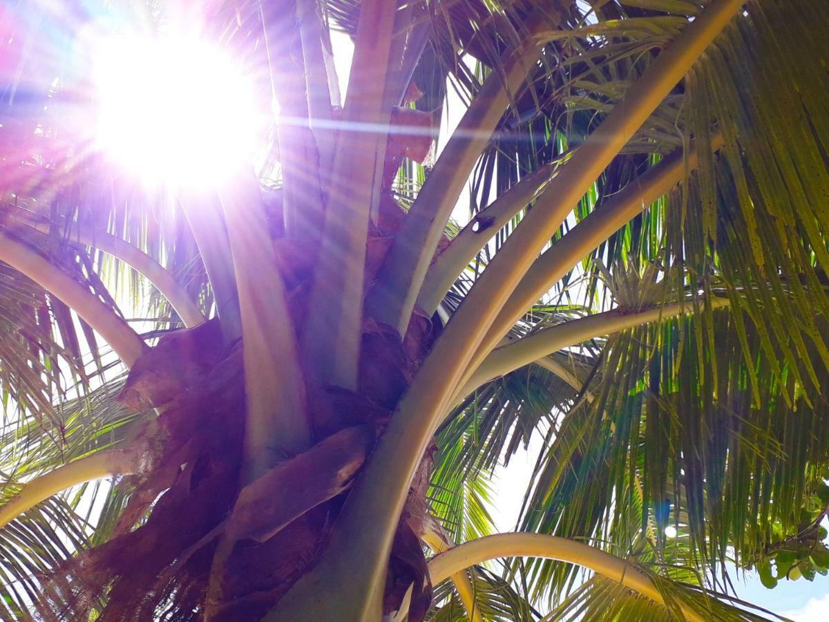 Hotel Vacation Beach Fales Manase Exterior foto